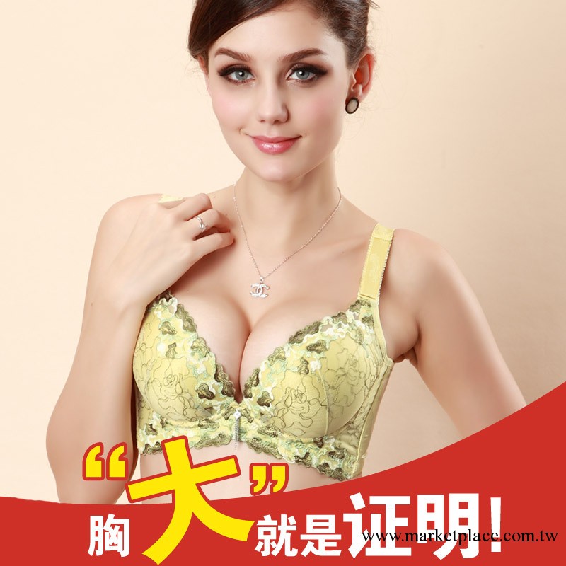 【廠傢批發】2013秋冬女 負離子調整型胸罩聚攏 側收塑身內衣2039工廠,批發,進口,代購