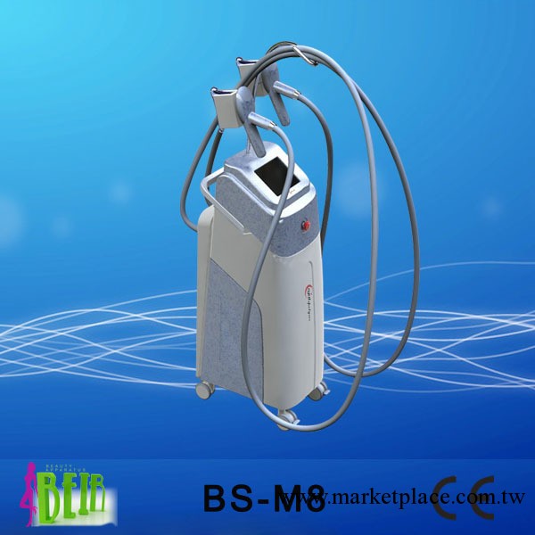 BSM8 新款雙頭冰凍力溶脂機 冷凍減肥機工廠,批發,進口,代購