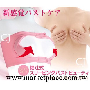 559美胸新構思--夜晚專用美胸集中調整內衣 夜間托胸衣 睡眠胸罩工廠,批發,進口,代購