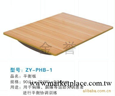 金譽復健器材/醫療器械/平衡板（帶扶手）醫療電療設備工廠,批發,進口,代購