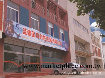 婦科臭氧治療機 藍健集團最專業 超低價醫療設備工廠,批發,進口,代購