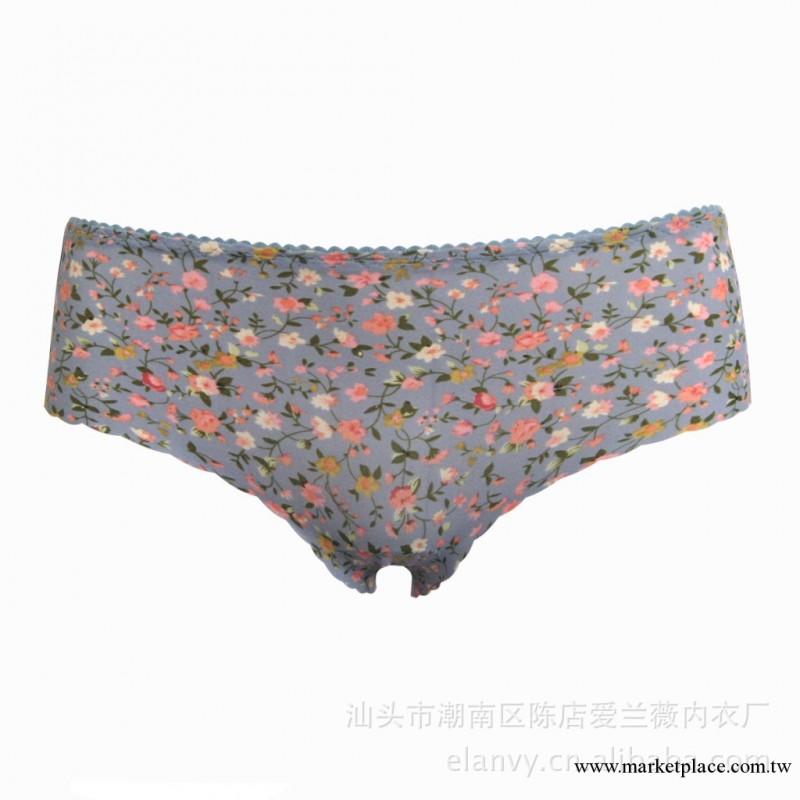 愛蘭薇 一片式無痕時尚女士內褲 田園碎花柔軟舒適少女內褲工廠,批發,進口,代購