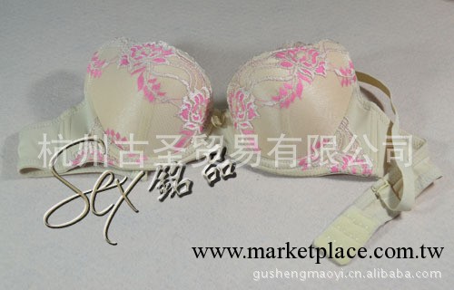 外貿日單 黛安芬 胸罩批發 品牌 內衣批發1#工廠,批發,進口,代購