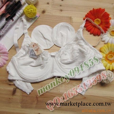 批發供應多比兔鋼托哺乳胸罩 4227工廠,批發,進口,代購