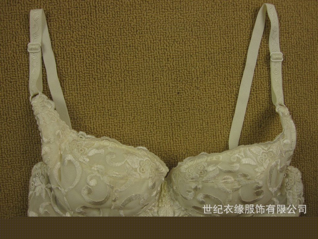 燊美內衣精品系列 外貿高檔水袋按摩聚攏胸罩工廠,批發,進口,代購