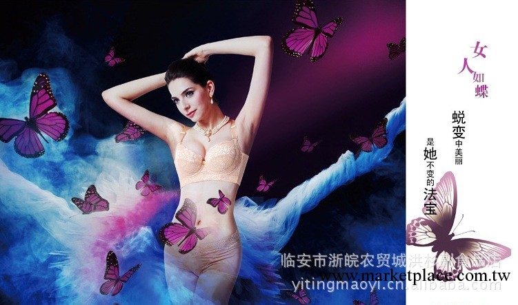 活磁防乳腺疾病保健聚攏五扣調整型胸罩/美體內衣工廠,批發,進口,代購