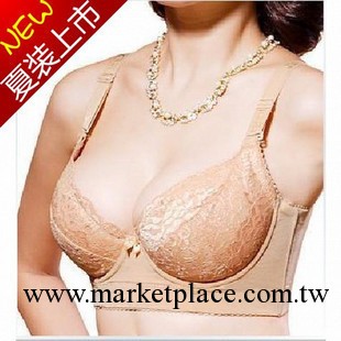 迪美妮莎1202  1201 等新款調整型胸罩 需要可以聯系 廠傢直銷工廠,批發,進口,代購