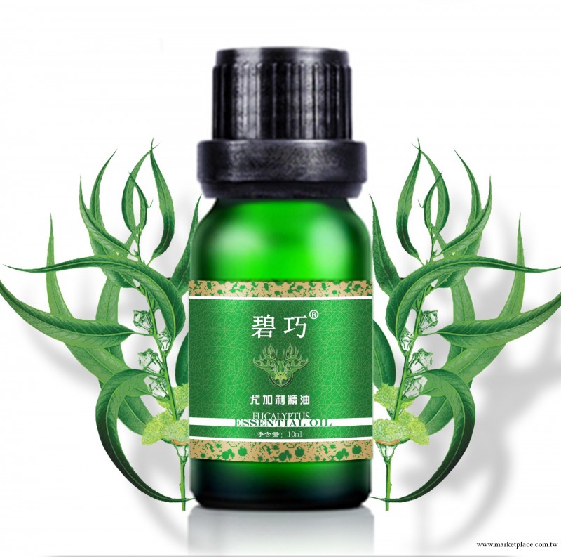供應瘦身緊膚精油 精油批發 美容精油加工工廠,批發,進口,代購