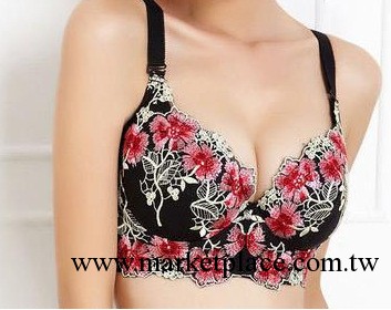 秋季大碼刺繡胸罩 薄款調整型收副乳聚攏胸罩 C杯豐滿性感女內衣工廠,批發,進口,代購