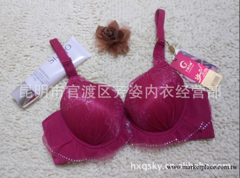 批發 千姿萬麗秋冬新款精油水袋上托聚攏調整型胸罩5515工廠,批發,進口,代購