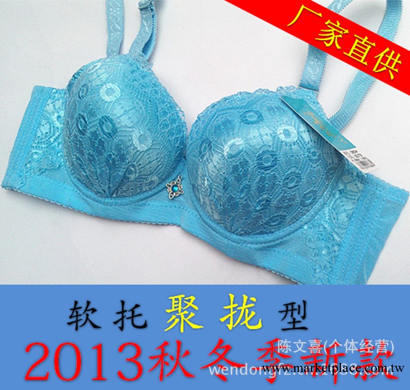 廠傢直供【艾欣娜】2013秋冬季新款 軟托聚攏型胸罩383# 內衣批發工廠,批發,進口,代購
