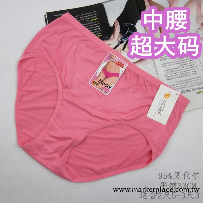 內褲批發 莫代爾內褲 大碼女內褲 高腰女式內褲 三角褲 廣州批發工廠,批發,進口,代購