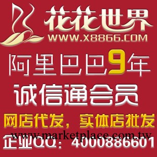網店貨源/男用飛機杯高度仿真/花花世界送數據包/9年誠信通工廠,批發,進口,代購