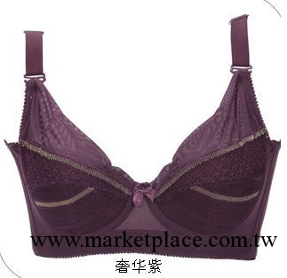 批發一套  全罩杯聚攏上托收副乳 美背調整型胸罩 富貴逼人工廠,批發,進口,代購