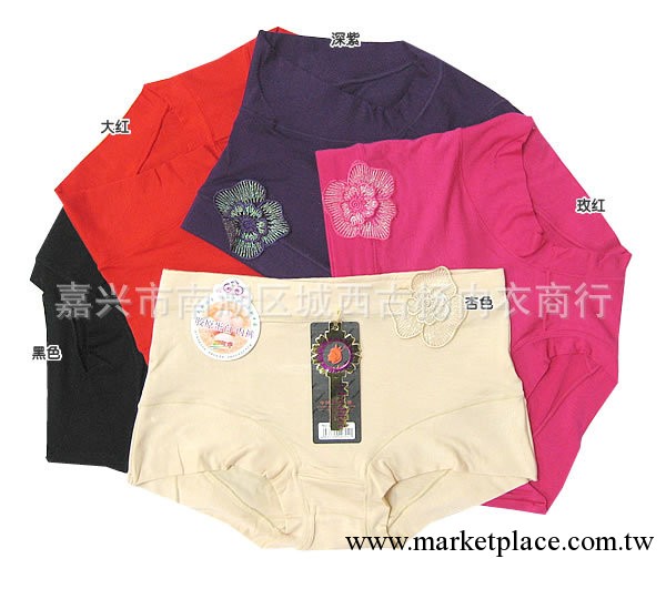中腰大碼大號 純色加厚無痕寬邊 竹纖維女士內褲 9724工廠,批發,進口,代購