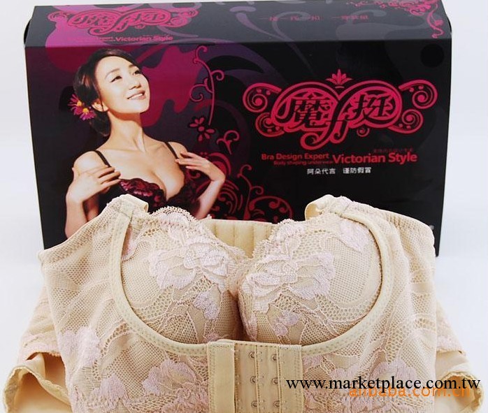 魔力挺品牌胸罩 夏娃之秀品牌胸罩 第一代品牌胸罩 套裝品牌胸罩工廠,批發,進口,代購
