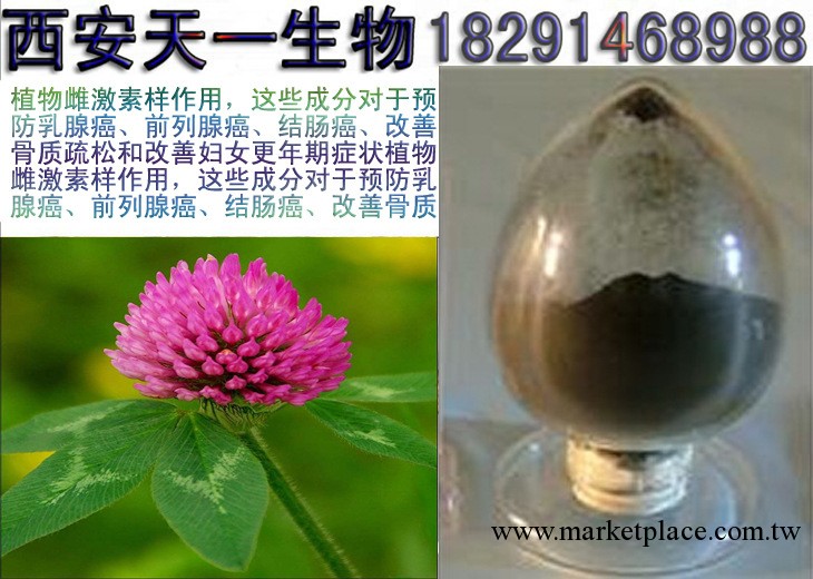 【預防乳腺癌、前列腺癌、結腸癌】紅車軸提取物 Red Clover P.E.工廠,批發,進口,代購