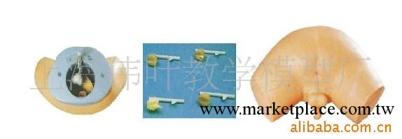 前列腺檢查模型批發・進口・工廠・代買・代購
