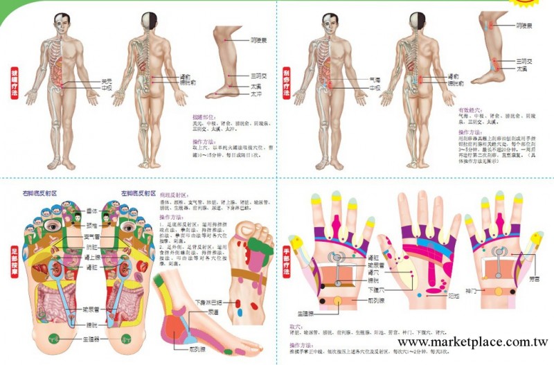 前列腺疾病保健、拔罐、刮痧、足療、手療、耳穴療法、運動療法工廠,批發,進口,代購