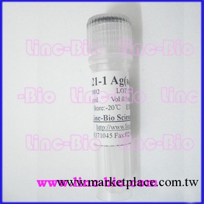 鼠抗人前列腺特異性抗原抗體（Anti-PSA antibody(Lable)）工廠,批發,進口,代購