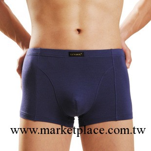 男士內褲 網絡熱銷款 莫代爾男士內褲 純色男平角內褲 5色有碼數工廠,批發,進口,代購