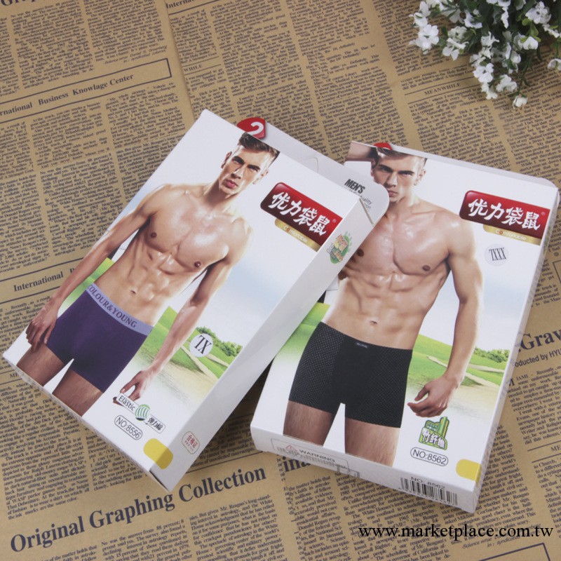 男士內褲平角褲 高檔竹纖維/彈力棉舒適抗菌透氣男盒裝內褲 2條裝工廠,批發,進口,代購