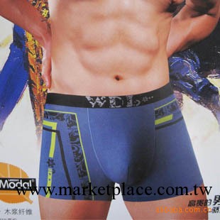 廠傢直銷威德龍莫代爾男士平角內褲  59180一盒兩條裝工廠,批發,進口,代購