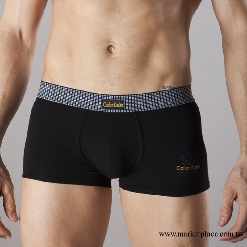 男士莫代爾平角內褲 男式格子邊平腳內褲  男 內褲廠傢 品牌內褲工廠,批發,進口,代購