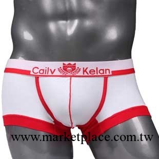 彩侶克蘭&mdash;Cailv Kelan男平角內褲 纖維素莫代爾 U凸 1268-白間紅工廠,批發,進口,代購