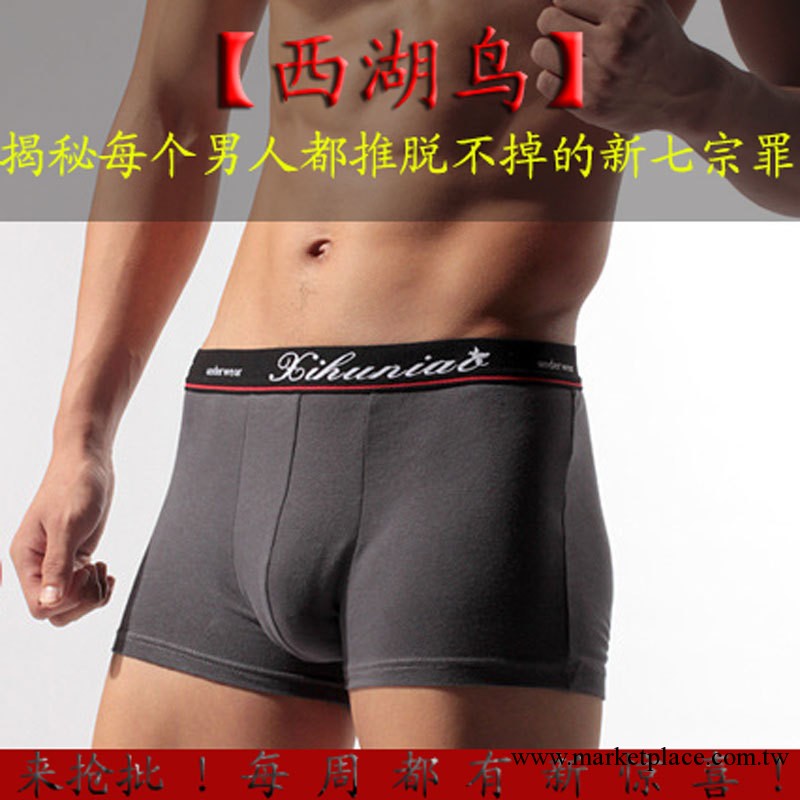【西湖鳥】全棉男士平角褲批發 高檔男士純棉內褲 6607 免費拿樣工廠,批發,進口,代購