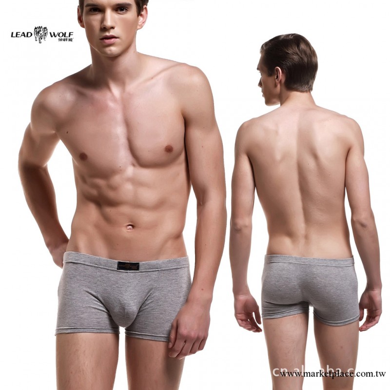 特價批發供應男士內褲 莫代爾平腳中腰內褲工廠,批發,進口,代購