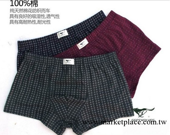 2013七匹狼內褲專櫃正品男士全棉印花柔軟舒適平角內褲03575批發工廠,批發,進口,代購