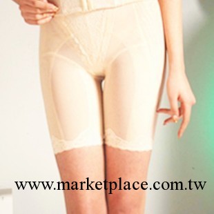 活性蠶絲蛋白短塑褲 DS0103/DS0105 經典女性美體塑身褲工廠,批發,進口,代購
