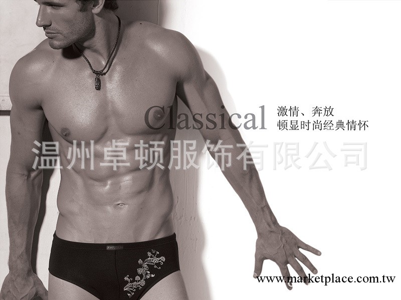 供應  卓頓   竹纖維男士三角褲 男士內褲 三角內褲工廠,批發,進口,代購