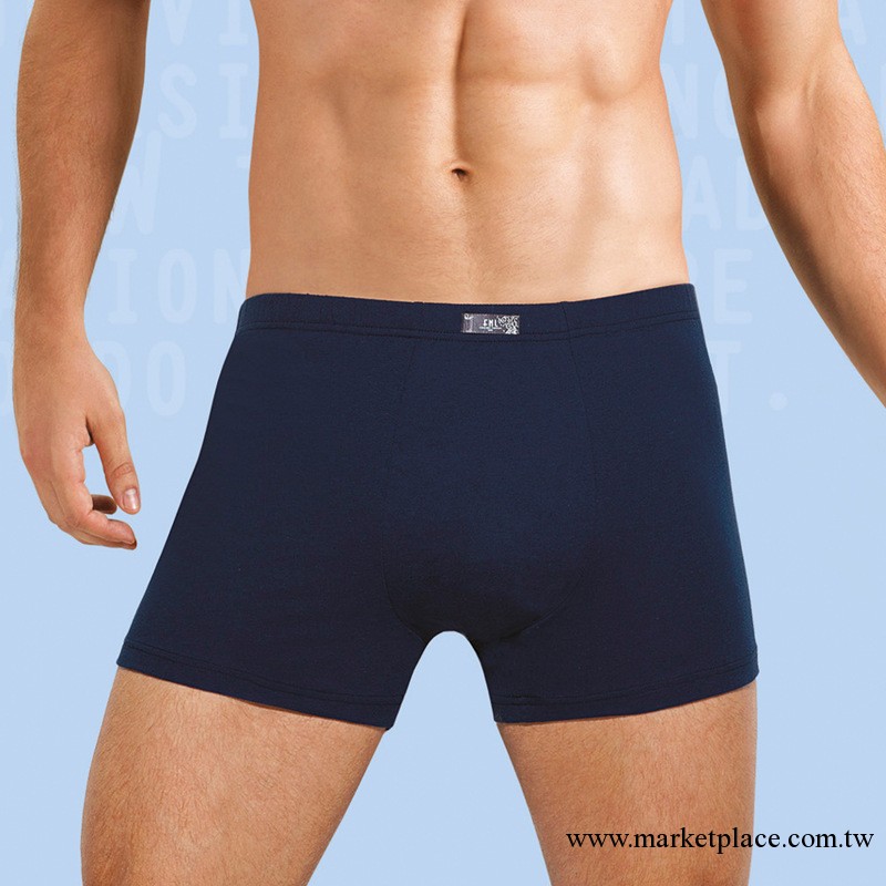 正品富妮來2013年秋冬新款純色100%全棉男士平角褲0462工廠,批發,進口,代購