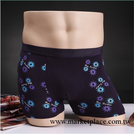 雙11爆款 男士內褲平角褲 優雅品質莫代爾棉短褲舒適抗菌四角褲工廠,批發,進口,代購