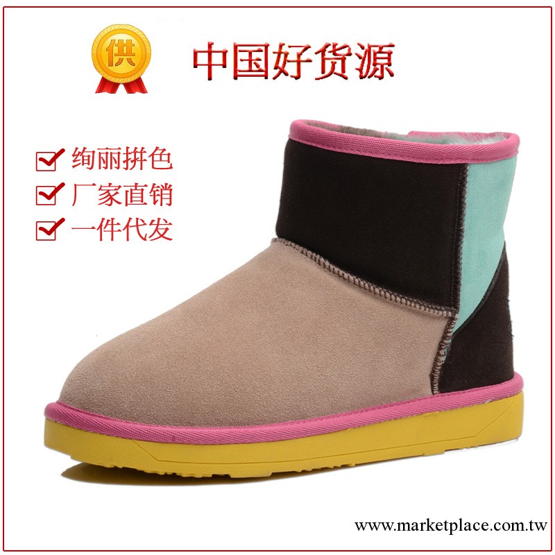 溫州雪靴廠傢直銷 女真皮時尚糖果拼色低筒保暖 反絨皮UGG 5854工廠,批發,進口,代購