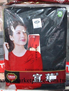 內衣  女士秋衣套裝  32支  純色內衣  圓領  純棉  精品工廠,批發,進口,代購