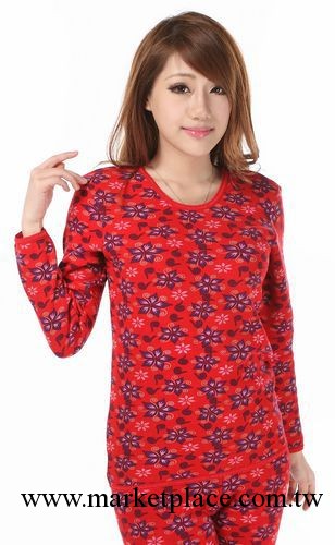 廠傢直銷 批發女士保暖內衣 純棉 黃金甲保暖內衣工廠,批發,進口,代購