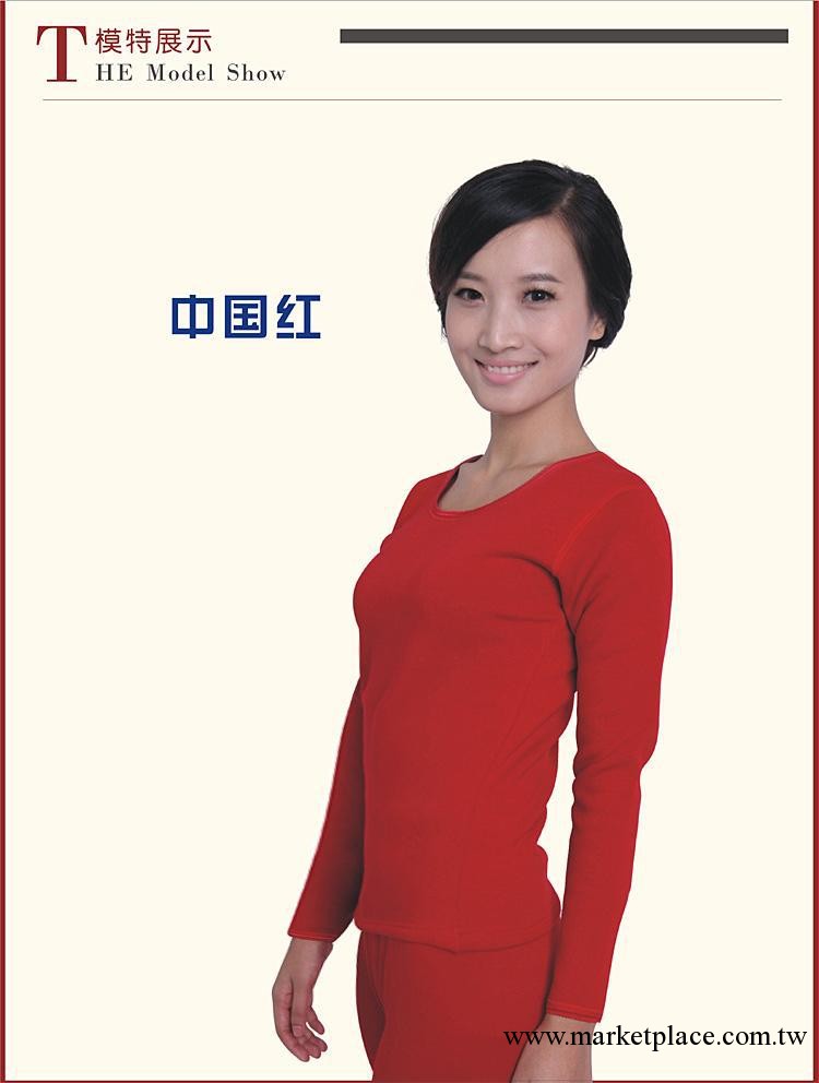 辛吉斯 女士純棉圓領保暖內衣 加厚加絨 純色全棉 單衣工廠,批發,進口,代購
