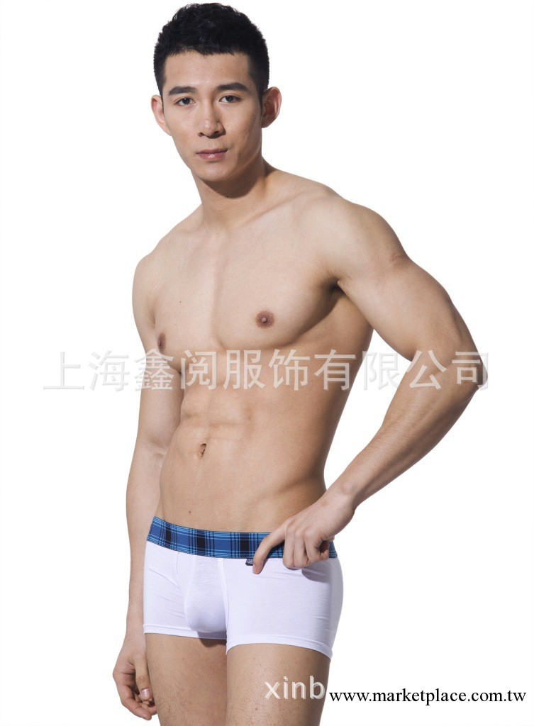 低價批發男士莫代爾內褲 批發四角褲多色供選基本款內褲工廠,批發,進口,代購