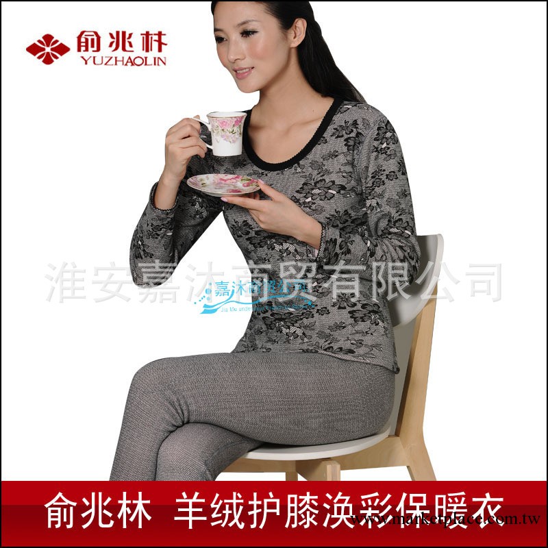 俞兆林 女士/女式羊絨護膝煥彩加厚保暖內衣套裝 送禮佳品 6501工廠,批發,進口,代購