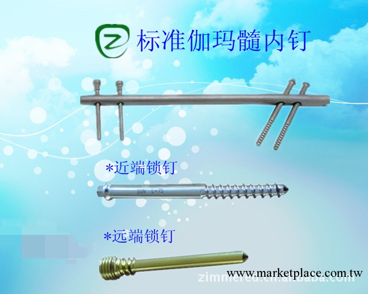 骨科耗材-標準伽瑪髓內釘工廠,批發,進口,代購