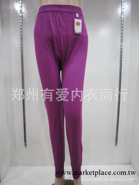 批發供應米波瀾全棉女士舒適秋褲等內衣工廠,批發,進口,代購