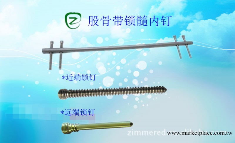 骨折內植入物-股骨帶鎖髓內釘工廠,批發,進口,代購
