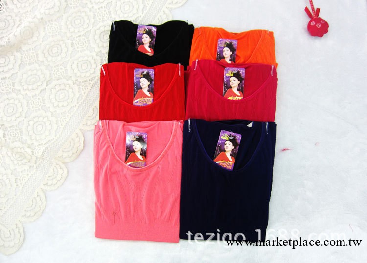 廠傢直銷女士保暖內衣完美塑身套裝 DSLH-TT-81002工廠,批發,進口,代購