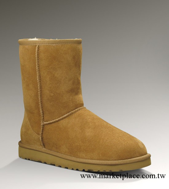 2013新款 中筒皮毛一體雪靴 1：1 ferrari_ugg 5825 栗色工廠,批發,進口,代購