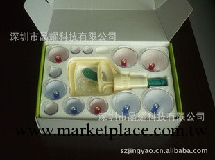 廠傢直銷 12罐裝磁療真空拔罐器 真空拔罐器  火燎拔罐器工廠,批發,進口,代購