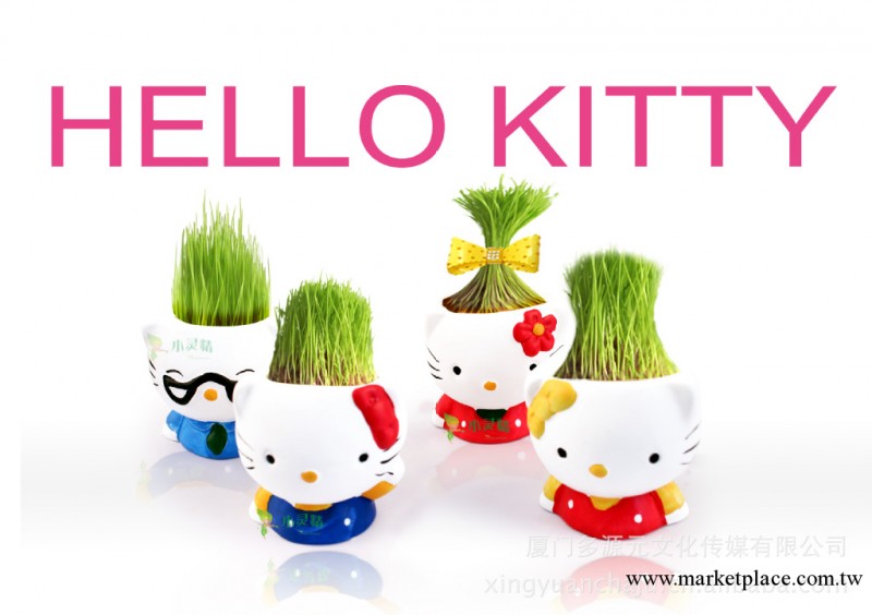 【小靈精】 hello kitty DIY迷你盆栽工廠,批發,進口,代購