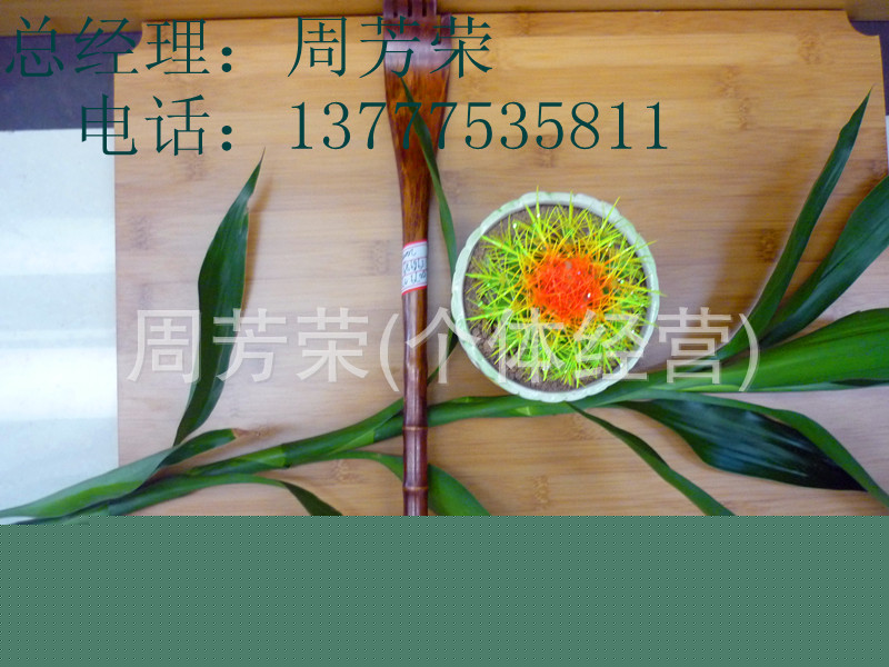 廠傢直銷木制扒手 癢癢撓木制 竹木日用品批發 酒店用品 商務酒店工廠,批發,進口,代購